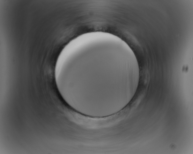 X0000101410039200807281036