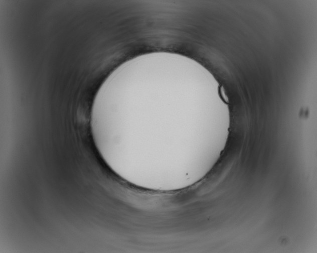 X0000101410040200807281036