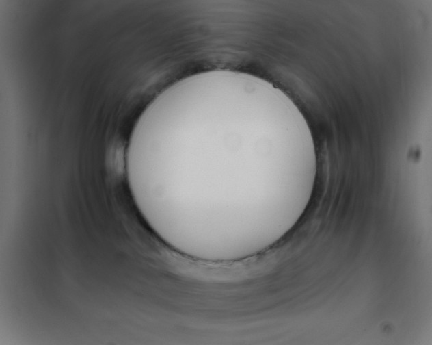 X0000101410042200807281036