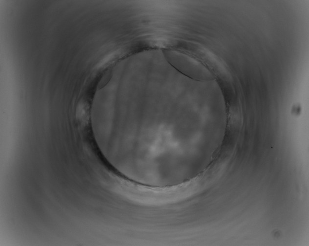 X0000101410043200807281036