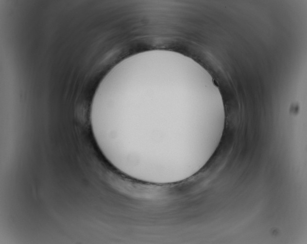 X0000101410044200807281036