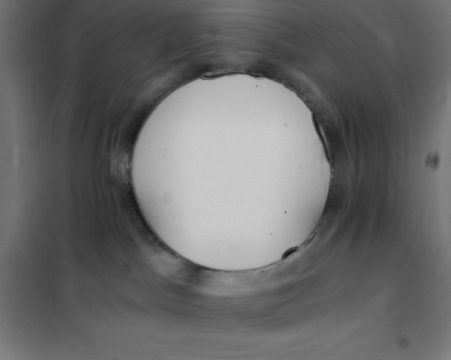 X0000101410045200807281036