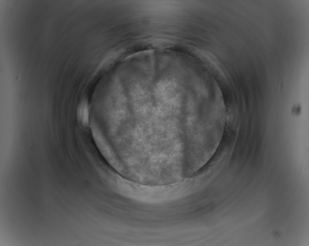X0000101410046200807281036