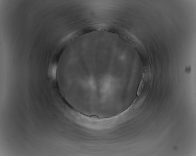 X0000101410047200807281036