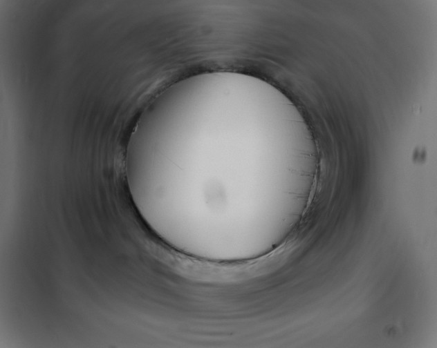 X0000101410048200807281036