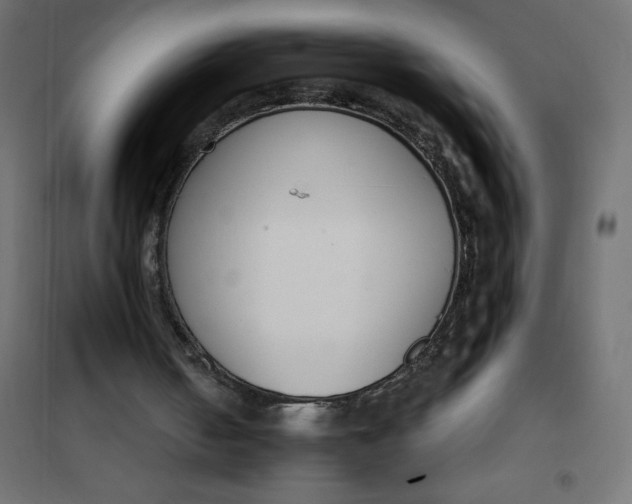 X0000101410050200807281035