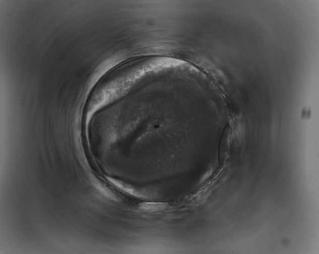X0000101410051200807281035