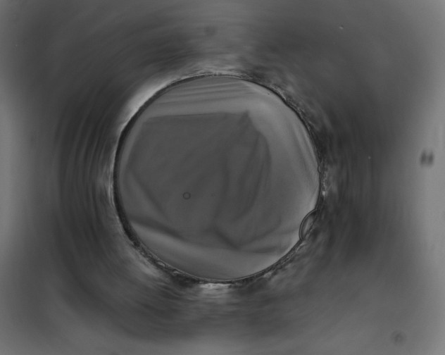 X0000101410052200807281035