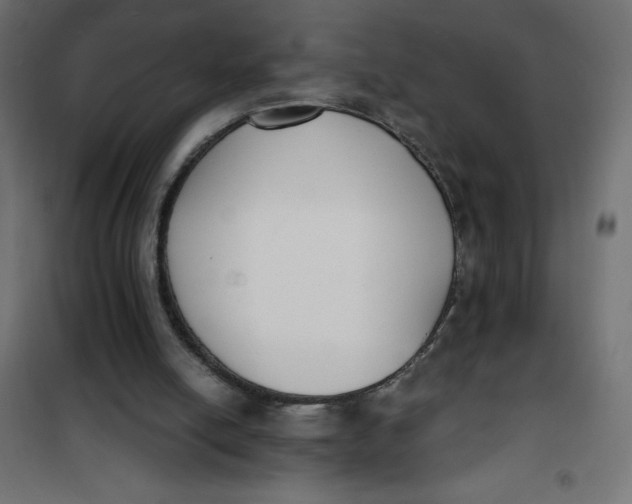 X0000101410054200807281035