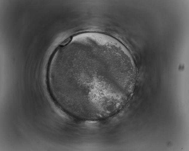 X0000101410055200807281035