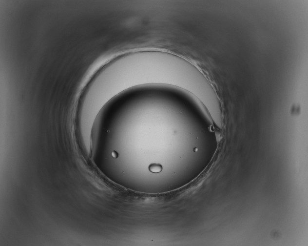 X0000101410056200807281035
