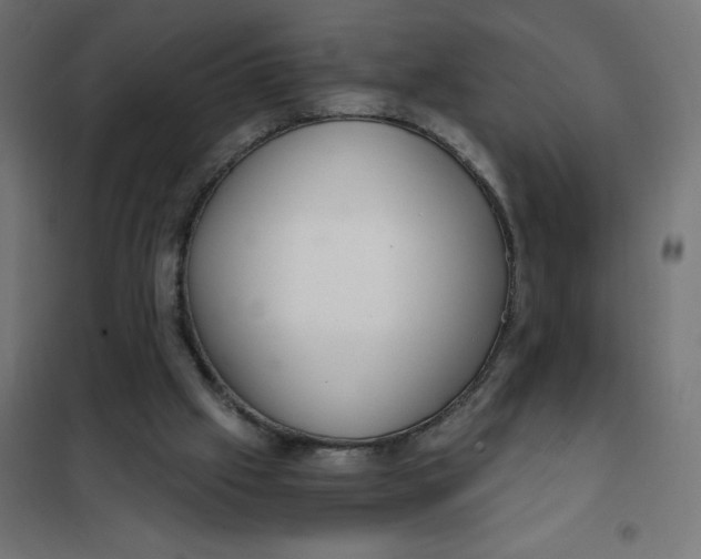 X0000101410057200807281035
