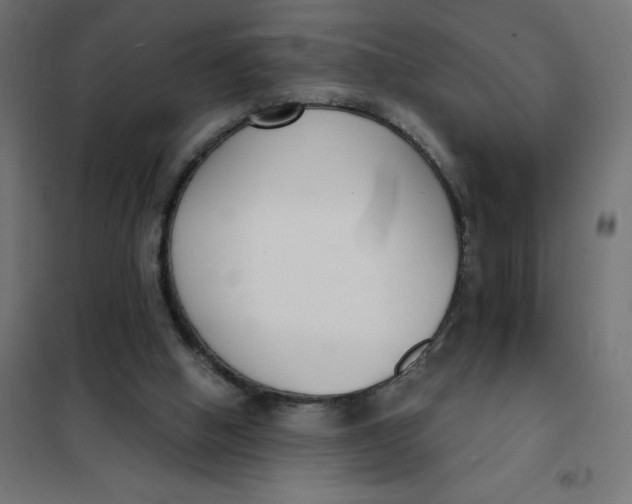 X0000101410058200807281035