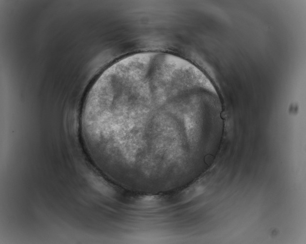 X0000101410059200807281035