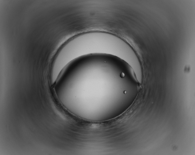 X0000101410060200807281035