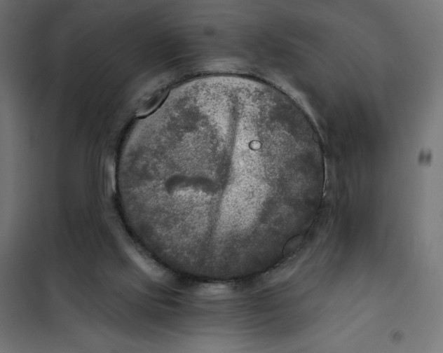 X0000101410061200807281035
