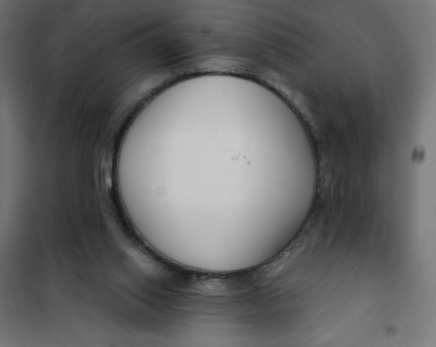 X0000101410062200807281035