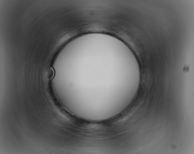 X0000101410063200807281035