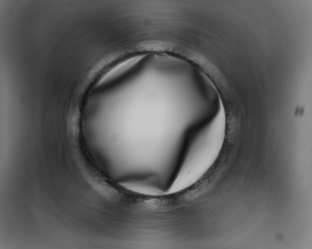X0000101410064200807281035