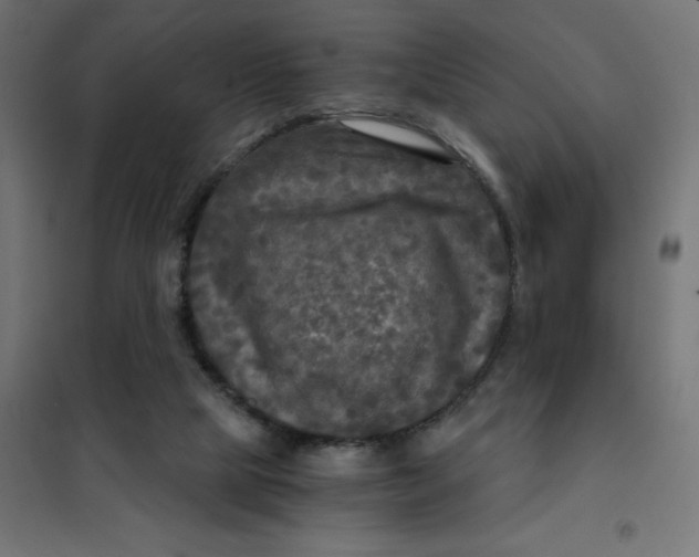 X0000101410065200807281035