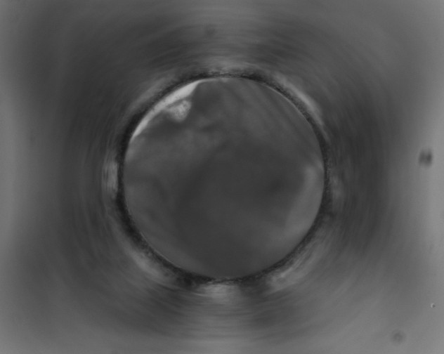 X0000101410067200807281035