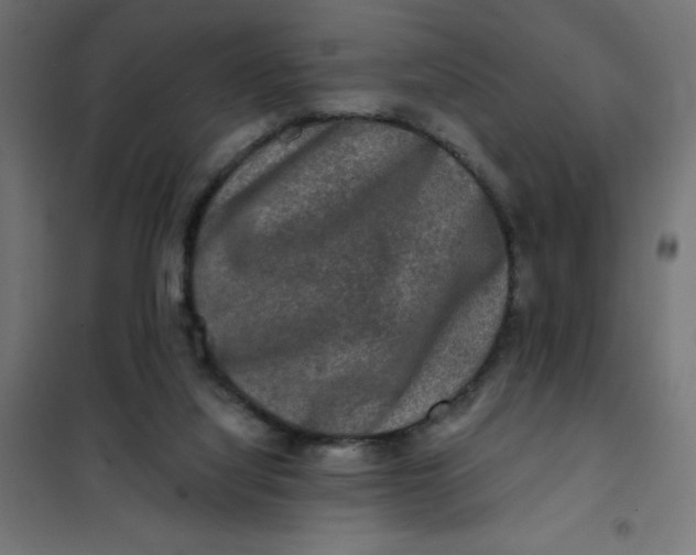 X0000101410068200807281035