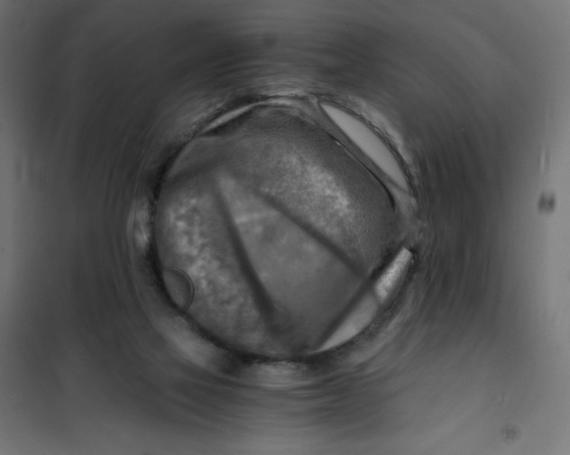 X0000101410069200807281035