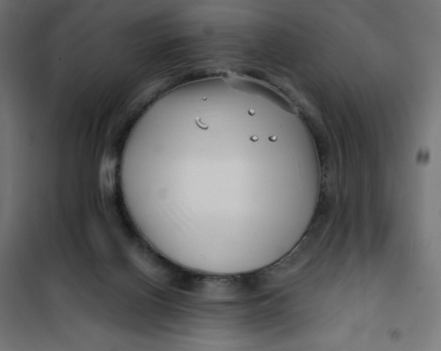 X0000101410070200807281035