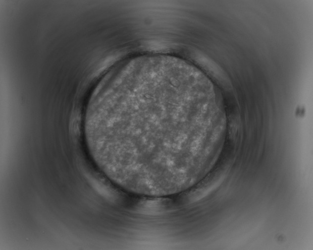 X0000101410072200807281036