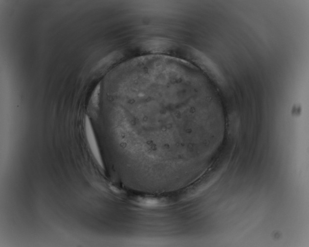 X0000101410073200807281036