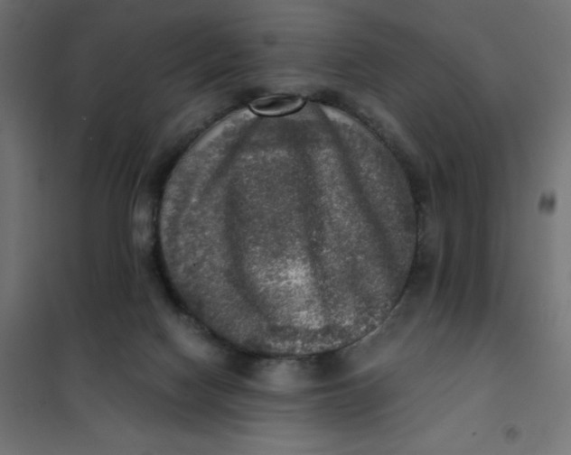 X0000101410074200807281036