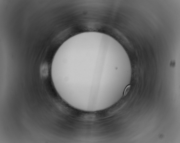 X0000101410075200807281036