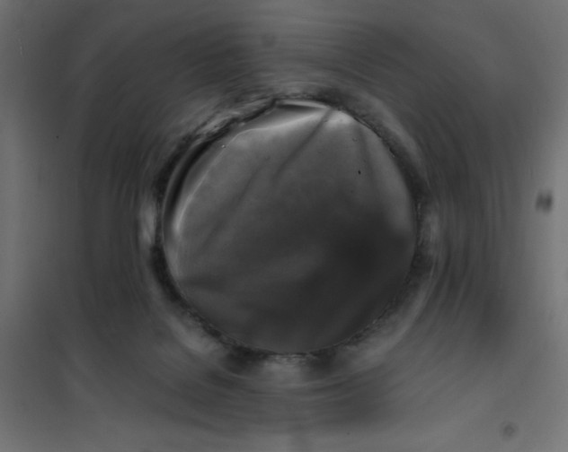 X0000101410076200807281036