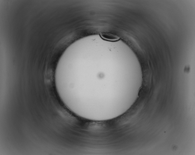 X0000101410077200807281036