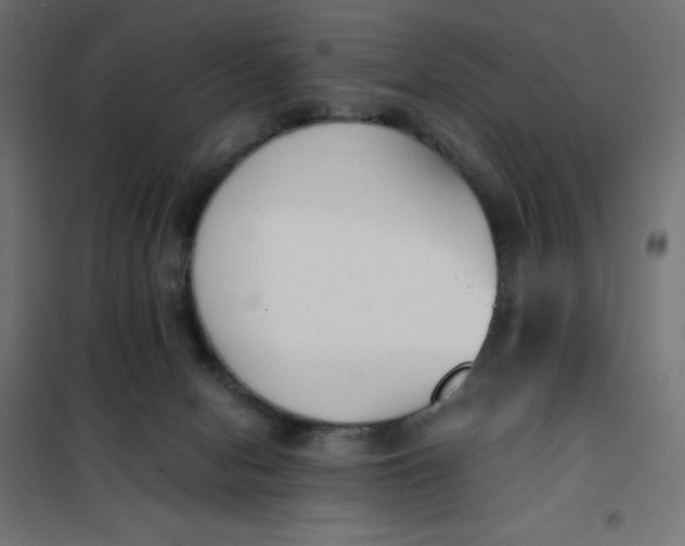 X0000101410078200807281036