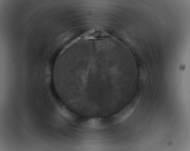 X0000101410080200807281036