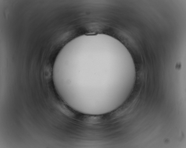 X0000101410081200807281036