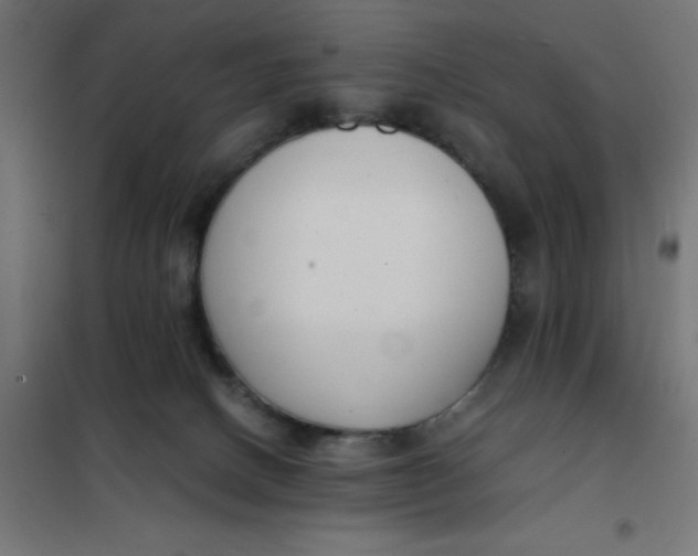 X0000101410082200807281036