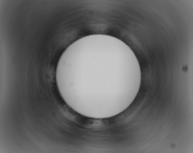 X0000101410083200807281036