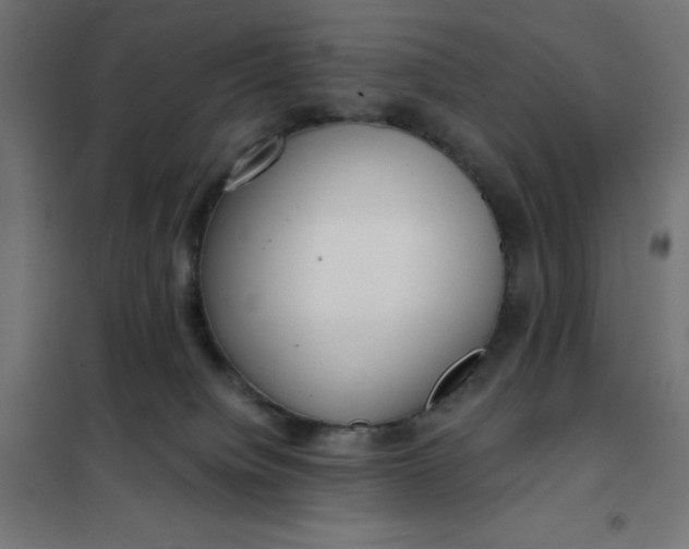 X0000101410084200807281036