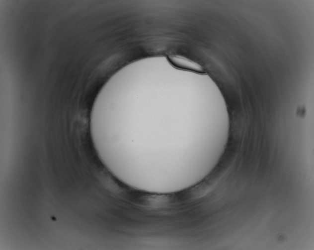 X0000101410085200807281036