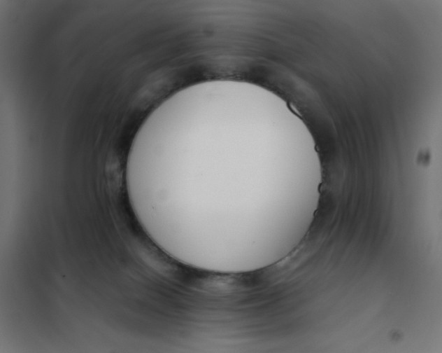 X0000101410086200807281036