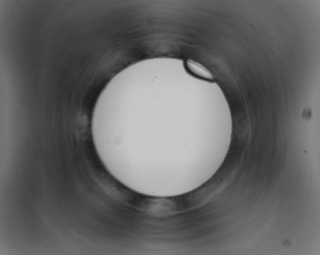 X0000101410087200807281036