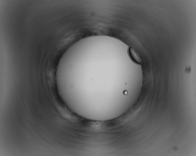 X0000101410088200807281036