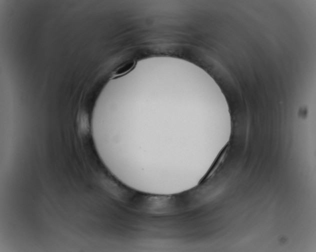 X0000101410089200807281036