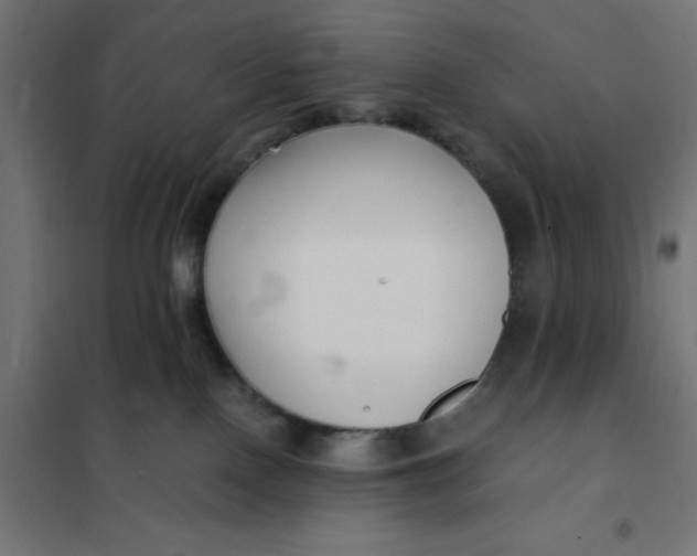 X0000101410090200807281036