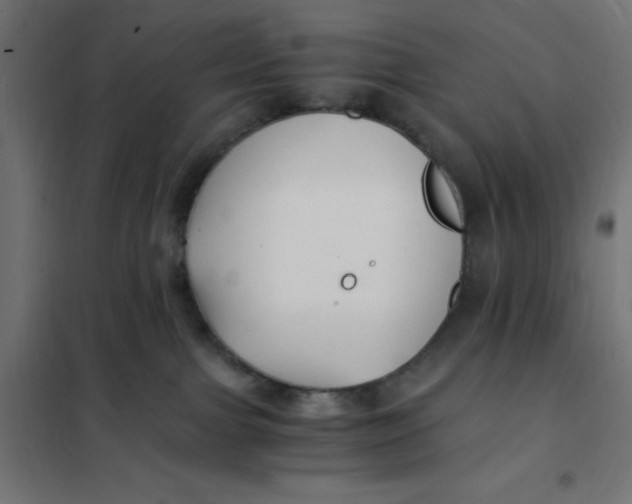 X0000101410091200807281036