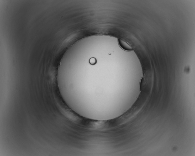 X0000101410092200807281036