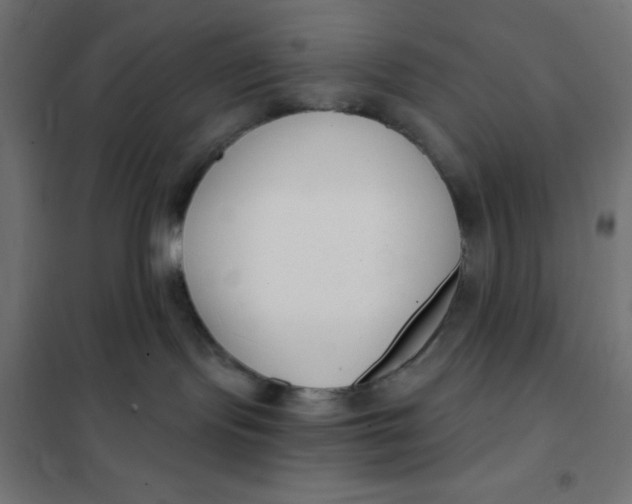 X0000101410095200807281036