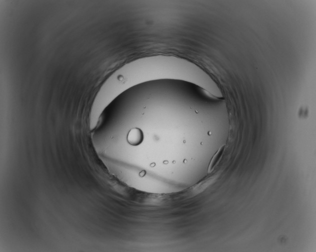 X0000101410096200807281036